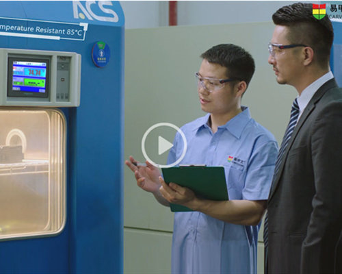 ICARVISIONS Company Profile