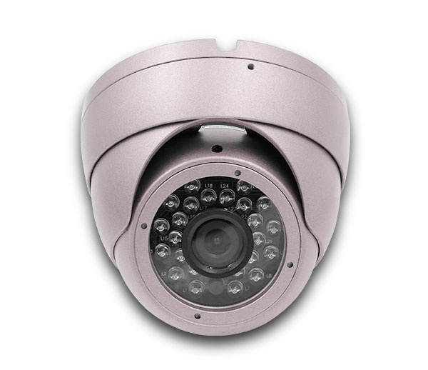 Which IP Cameras does ICARVISIONS supply? Picture2