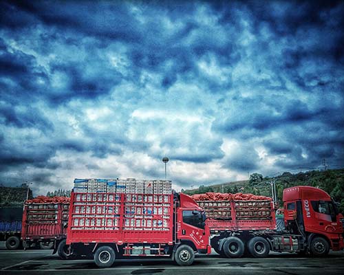 Icarvisions 4ch 1080P HDD Car Mobile DVR