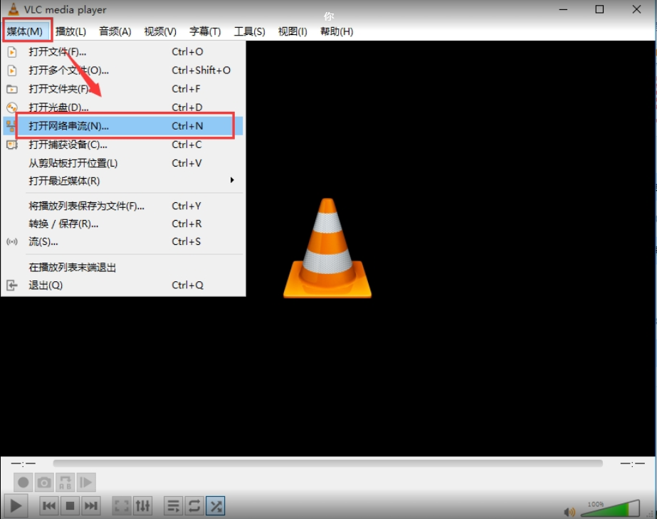 How to use VLC get RTSP video from MDVR Picture1