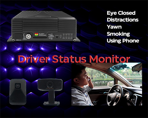 Driver Status Monitor (DSM) 
